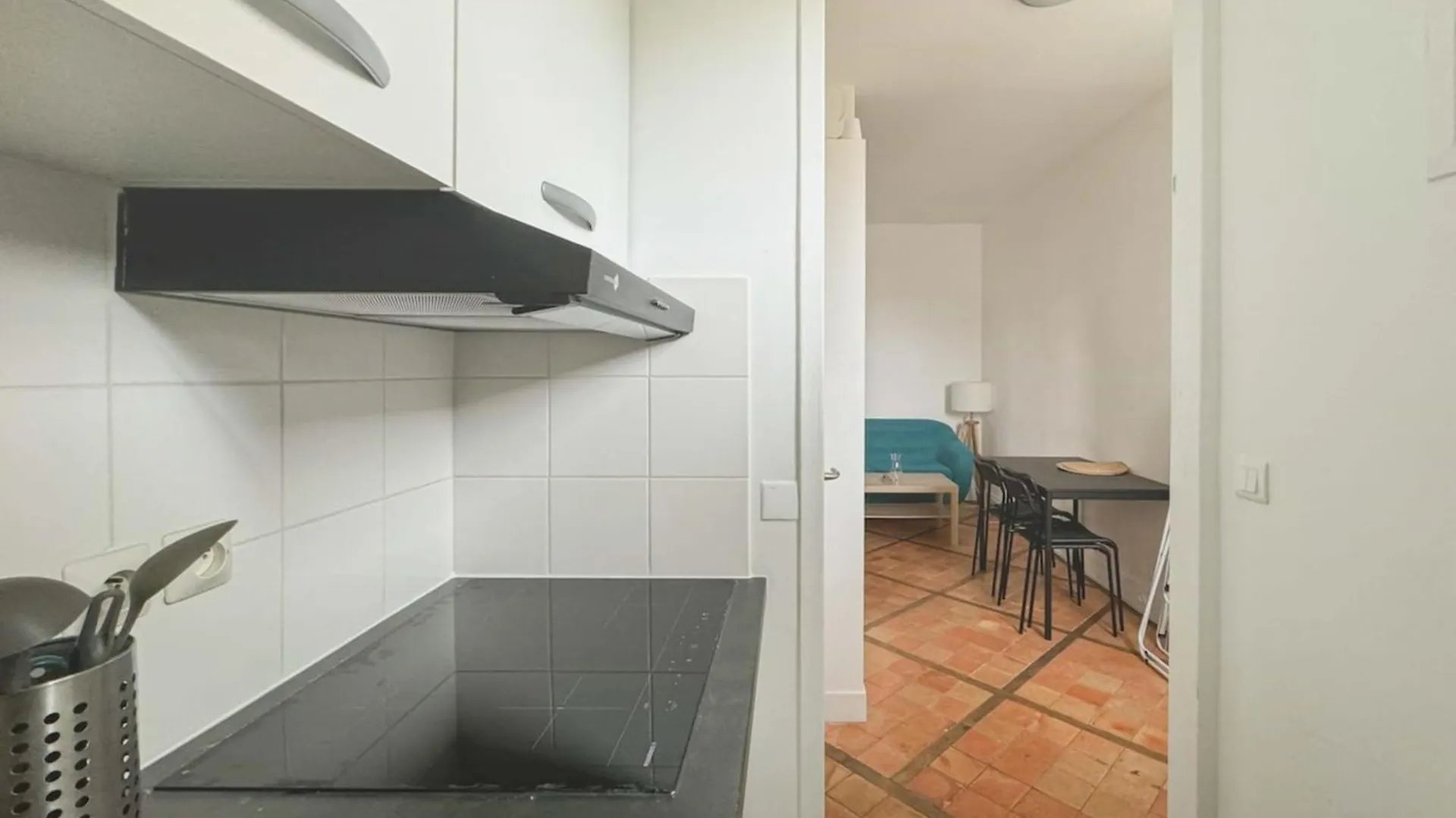 Flexliving - Whole Flat - Lemoine Apartment Paris France